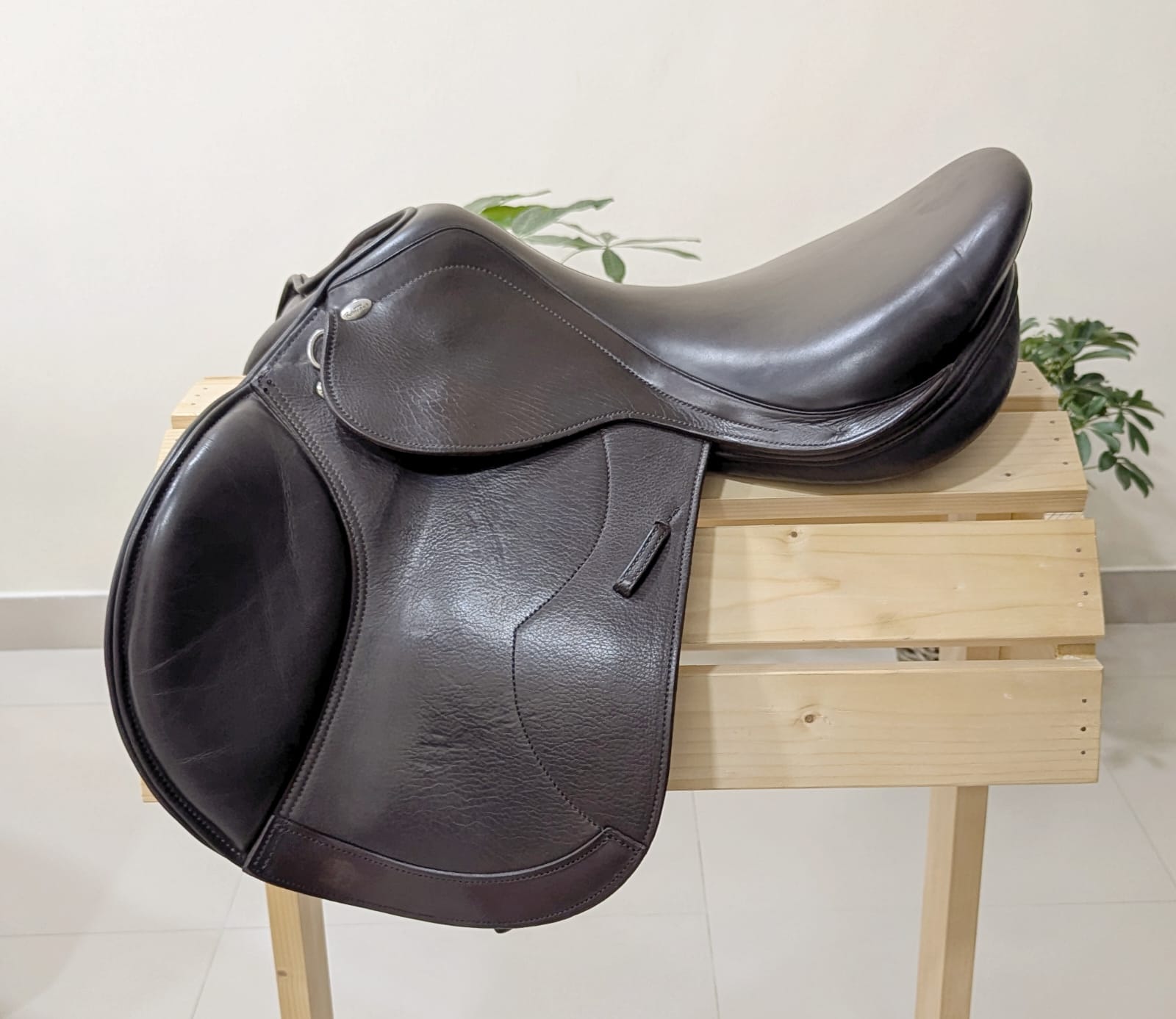 Used Saddles